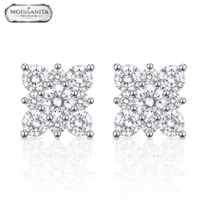 ARETES PARA HOMBRES | Lion Luxury