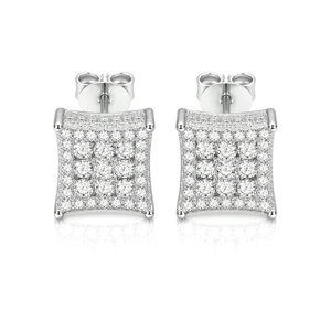 ARETES PARA HOMBRES | Lion Luxury