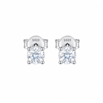 ARETES PARA HOMBRES | Lion Luxury