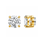 ARETES PARA HOMBRES | Lion Luxury