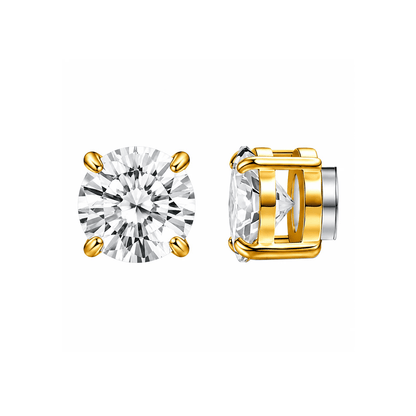 ARETES PARA HOMBRES | Lion Luxury