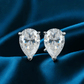 ARETES PARA HOMBRES | Lion Luxury