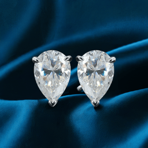 ARETES PARA HOMBRES | Lion Luxury