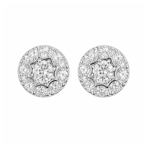 ARETES PARA HOMBRES | Lion Luxury