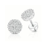 ARETES PARA HOMBRES | Lion Luxury