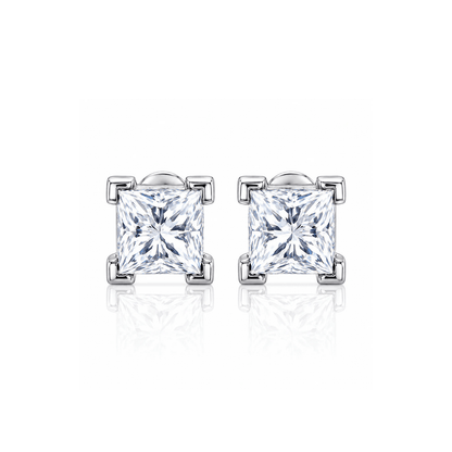 ARETES PARA HOMBRES | Lion Luxury