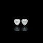ARETES PARA HOMBRES | Lion Luxury