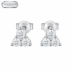 ARETES PARA HOMBRES | Lion Luxury