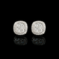 ARETES PARA HOMBRES | Lion Luxury