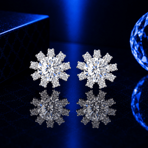 ARETES PARA HOMBRES | Lion Luxury