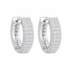 ARETES PARA HOMBRES | Lion Luxury