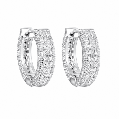 ARETES PARA HOMBRES | Lion Luxury