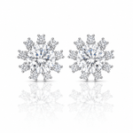 ARETES PARA HOMBRES | Lion Luxury