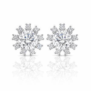 ARETES PARA HOMBRES | Lion Luxury