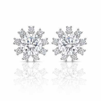 ARETES PARA HOMBRES | Lion Luxury