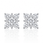 ARETES PARA HOMBRES | Lion Luxury