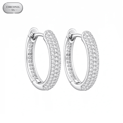 ARETES PARA HOMBRES | Lion Luxury