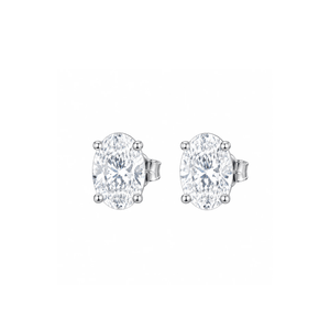 ARETES PARA HOMBRES | Lion Luxury
