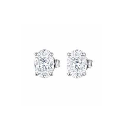 ARETES PARA HOMBRES | Lion Luxury