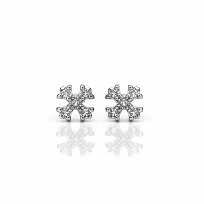 ARETES PARA HOMBRES | Lion Luxury