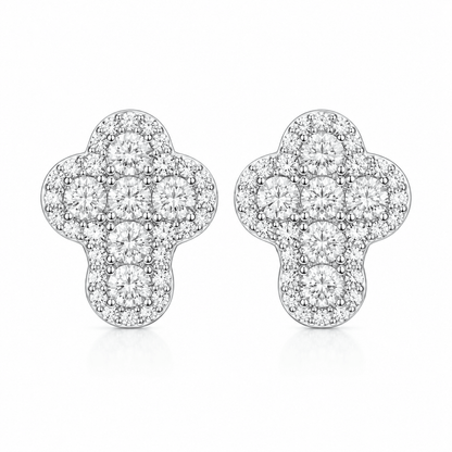 ARETES PARA HOMBRES | Lion Luxury