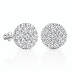 ARETES PARA HOMBRES | Lion Luxury