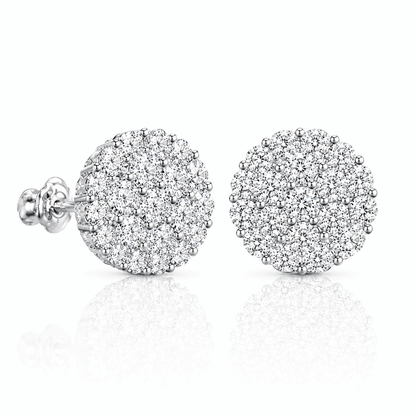 ARETES PARA HOMBRES | Lion Luxury