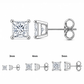 ARETES PARA HOMBRES | Lion Luxury