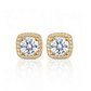 ARETES PARA HOMBRES | Lion Luxury