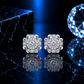 ARETES PARA HOMBRES | Lion Luxury