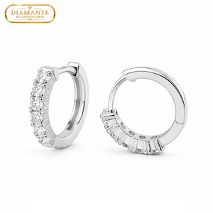 ARETES PARA HOMBRES | Lion Luxury