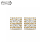 ARETES PARA HOMBRES | Lion Luxury