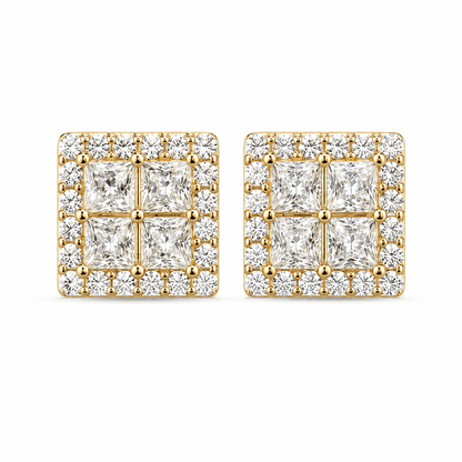 ARETES PARA HOMBRES | Lion Luxury