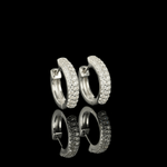 ARETES PARA HOMBRES | Lion Luxury