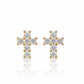 ARETES PARA HOMBRES | Lion Luxury