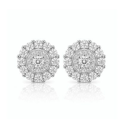 ARETES PARA HOMBRES | Lion Luxury