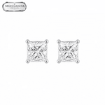 ARETES PARA HOMBRES | Lion Luxury