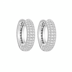 ARETES PARA HOMBRES | Lion Luxury