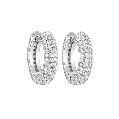 ARETES PARA HOMBRES | Lion Luxury
