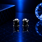 ARETES PARA HOMBRES | Lion Luxury