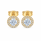 ARETES PARA HOMBRES | Lion Luxury