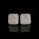 ARETES PARA HOMBRES | Lion Luxury