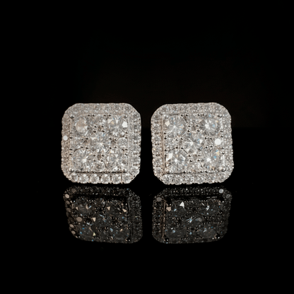 ARETES PARA HOMBRES | Lion Luxury