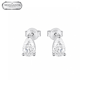 ARETES PARA HOMBRES | Lion Luxury
