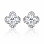 ARETES PARA HOMBRES | Lion Luxury