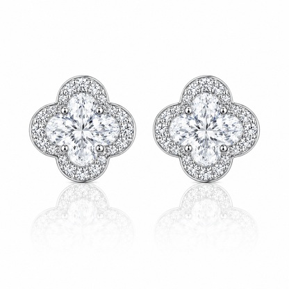 ARETES PARA HOMBRES | Lion Luxury