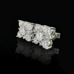 ARETES PARA HOMBRES | Lion Luxury