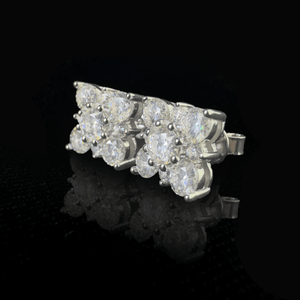 ARETES PARA HOMBRES | Lion Luxury