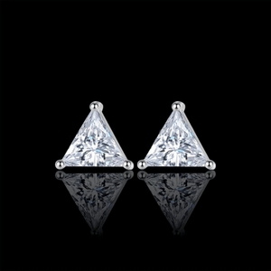 ARETES PARA HOMBRES | Lion Luxury