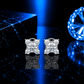 ARETES PARA HOMBRES | Lion Luxury